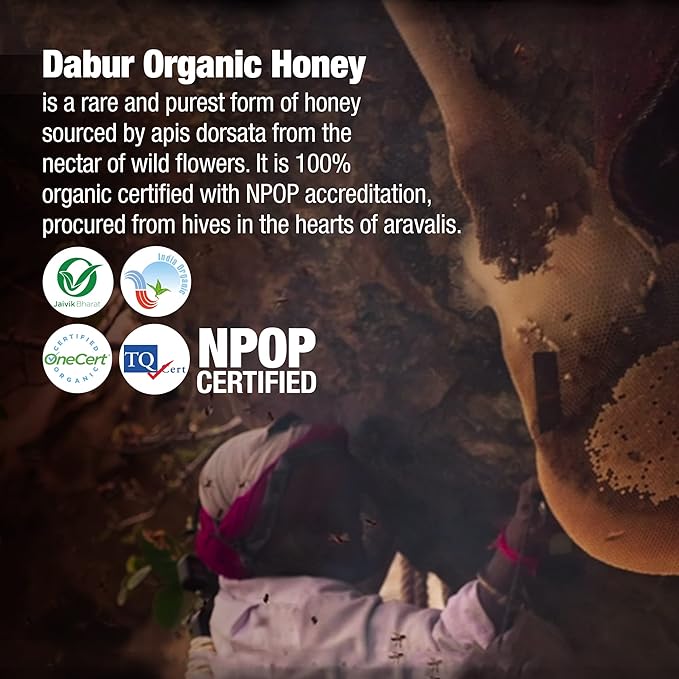 Dabur Raw Organic Honey - Image 6